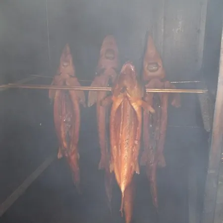 アパートホテル Przystan Nad Sola ビエラニー