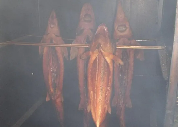 Hotel apartamentowy Przystań Nad Sołą Bielany